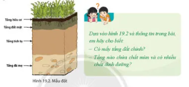 Địa lí 6 Bài 19: Lớp đất và các nhân tố hình thành đất. Một số nhóm đất điển hình