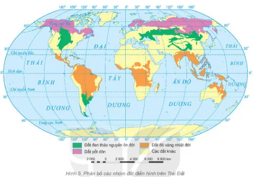 Địa lí 6 Bài 22: Lớp đất trên Trái Đất