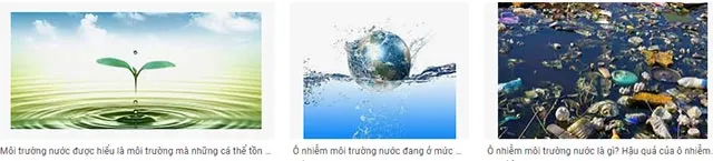 Địa lí 6 Bài 24: Thực hành tác động của con người đến thiên nhiên