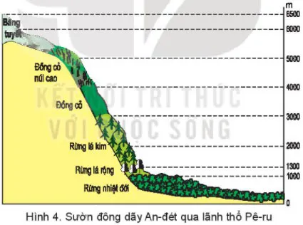 Địa lí 7 Bài 16: Đặc điểm tự nhiên Trung và Nam Mỹ