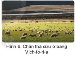 Địa lí 7 Bài 18: Châu Đại Dương