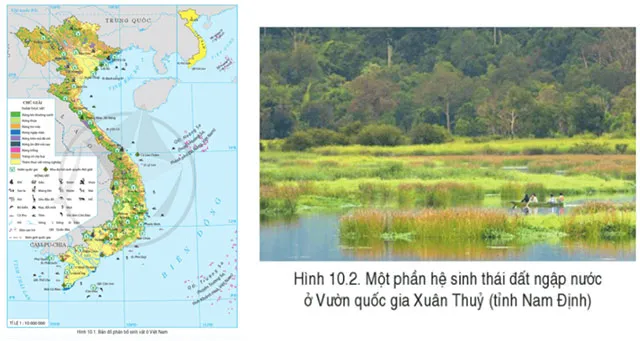 Địa lí 8 Bài 10: Đặc điểm chung của sinh vật và vấn để bảo tồn đa dạng sinh học ở Việt Nam