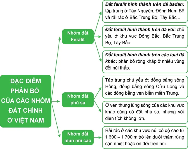 Địa lí 8 Bài 11: Đặc điểm chung và sự phân bố của lớp phủ thổ nhưỡng