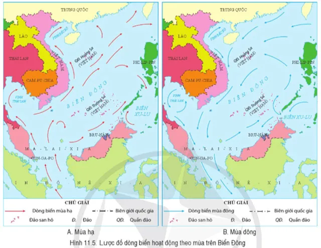 Địa lí 8 Bài 11: Phạm vi Biển Đông. Các vùng biển của Việt Nam ở Biển Đông. Đặc điểm tự nhiên vùng biển đảo Việt Nam