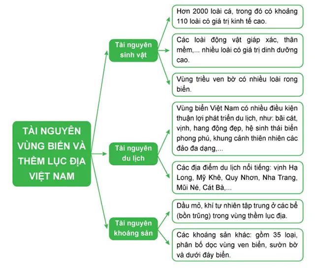 Địa lí 8 Bài 12: Môi trường và tài nguyên biển đảo Việt Nam