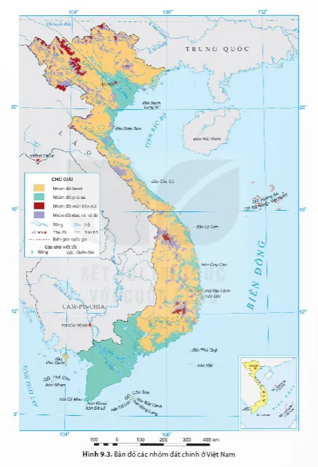 Địa lí 8 Bài 9: Thổ nhưỡng Việt Nam