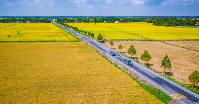 Địa lí 9 Bài 36: Vùng Đồng bằng sông Cửu Long (Tiếp theo)