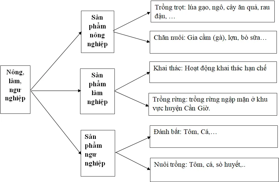 Địa lí 9 Bài 43: Địa lí tỉnh thành phố (Tiếp theo)