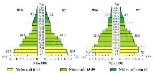 Địa lí 9 Bài 5: Thực hành Phân tích và so sánh tháp dân số năm 1989 và năm 1999