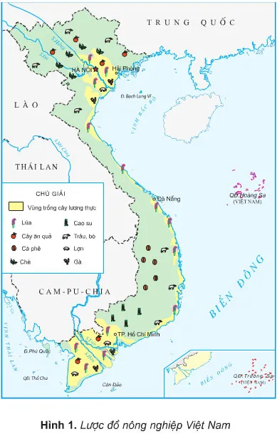 Địa lí lớp 5 Bài 10: Nông nghiệp