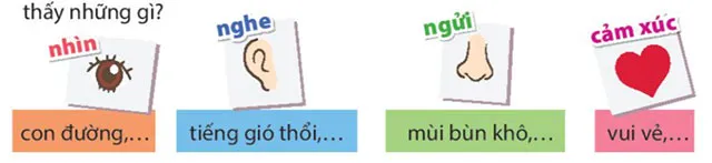 Đọc: Chân trời cuối phố – Tiếng Việt 4 Kết nối tri thức