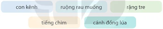 Đọc: Chiều ngoại ô – Tiếng Việt 4 Kết nối tri thức