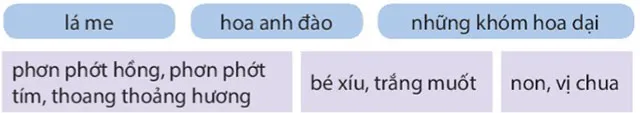 Đọc: Nếu em có một khu vườn – Tiếng Việt 4 Kết nối tri thức