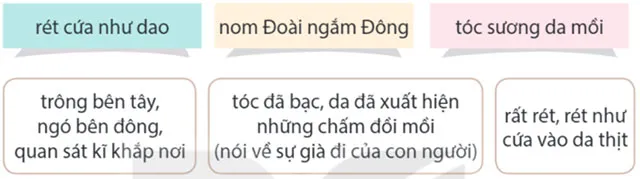 Đọc: Quả ngọt cuối mùa – Tiếng Việt 4 Kết nối tri thức