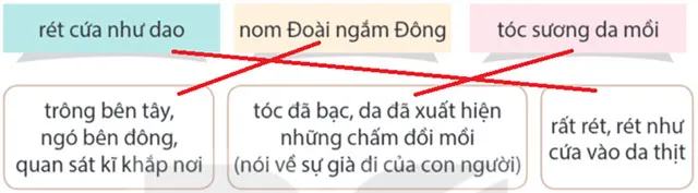 Đọc: Quả ngọt cuối mùa – Tiếng Việt 4 Kết nối tri thức