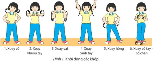 Giáo án Giáo dục thể chất 6 sách Chân trời sáng tạo (Cả năm)