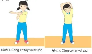 Giáo án Giáo dục thể chất 6 sách Chân trời sáng tạo (Cả năm)