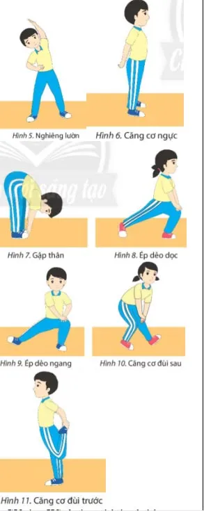 Giáo án Giáo dục thể chất 6 sách Chân trời sáng tạo (Cả năm)