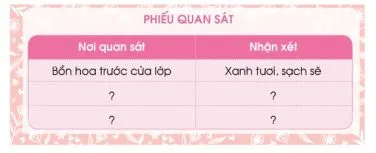 Giáo án Hoạt động trải nghiệm lớp 3 (Sách mới)