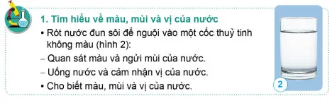 Giáo án Khoa học 4 sách Cánh diều (Cả năm)