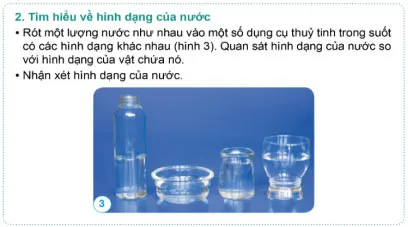 Giáo án Khoa học 4 sách Cánh diều (Cả năm)