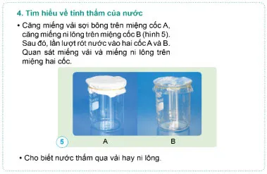 Giáo án Khoa học 4 sách Cánh diều (Cả năm)