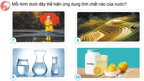 Giáo án Khoa học 4 sách Cánh diều (Cả năm)