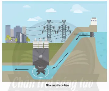 Giáo án Khoa học 4 sách Chân trời sáng tạo (Cả năm)