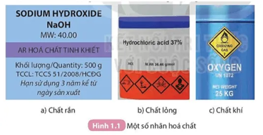 Giáo án lớp 8 sách Kết nối tri thức với cuộc sống – Tất cả các môn