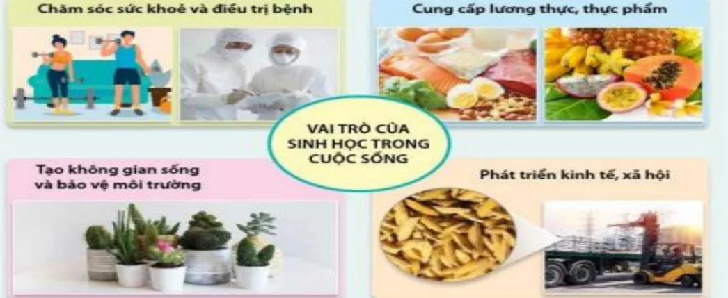 Giáo án Sinh học 10 sách Kết nối tri thức với cuộc sống (HKI)