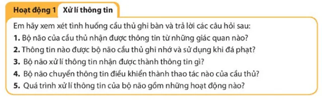 Giáo án Tin học 6 sách Kết nối tri thức với cuộc sống (Cả năm)