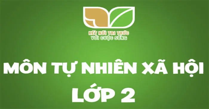 Giáo án Tự nhiên và xã hội 2 sách Kết nối tri thức với cuộc sống (Cả năm)