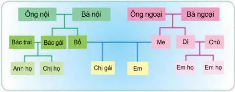 Giáo án Tự nhiên và xã hội 3 sách Chân trời sáng tạo (Cả năm)