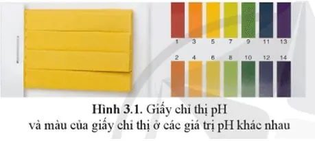 Hóa 11 Bài 3: pH của dung dịch. Chuẩn độ acid – base