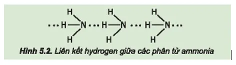 Hóa 11 Bài 5: Ammonia – Muối Ammonium