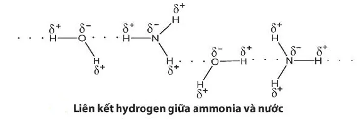 Hóa 11 Bài 5: Ammonia – Muối Ammonium