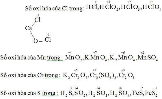 Hóa học 10 Bài 19: Luyện tập Phản ứng oxi hóa – khử