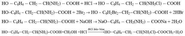 Hóa học 12 Bài 12: Luyện tập Cấu tạo và tính chất của amin, amino axit và protein