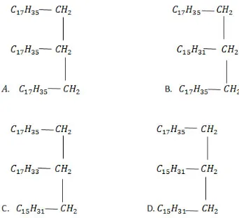 Hóa học 12 Bài 4: Luyện tập Este và chất béo