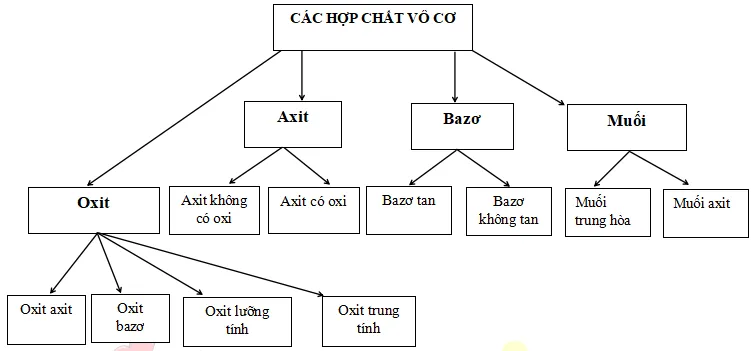 Hoá học 9 Bài 12: Mối quan hệ giữa các loại hợp chất vô cơ