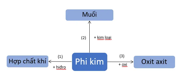 Hóa học 9 Bài 32: Luyện tập chương 3 Phi kim – Sơ lược về bảng tuần hoàn các nguyên tố hóa học