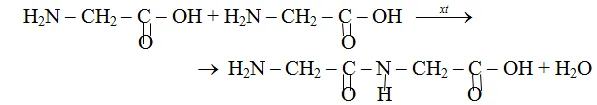 Hóa học 9 bài 53: Protein