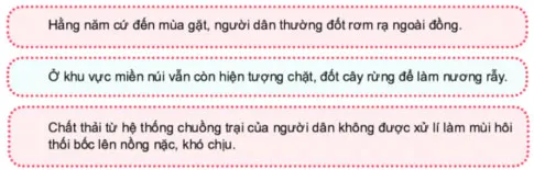 Hoạt động trải nghiệm 6: Ứng phó với biến đổi khí hậu