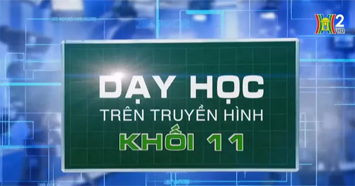 Học trực tuyến Lớp 11 trên Truyền hình ngày 12/05/2024