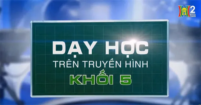 Học trực tuyến Lớp 5 trên Truyền hình ngày 12/05/2024