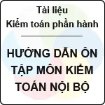 Hướng dẫn ôn tập môn kiểm toán nội bộ