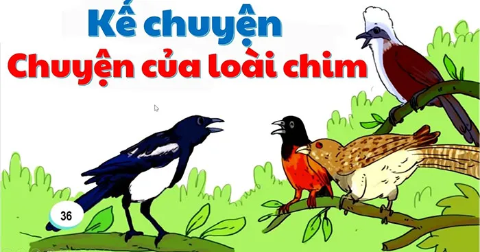 Kể lại câu chuyện Chuyện của loài chim