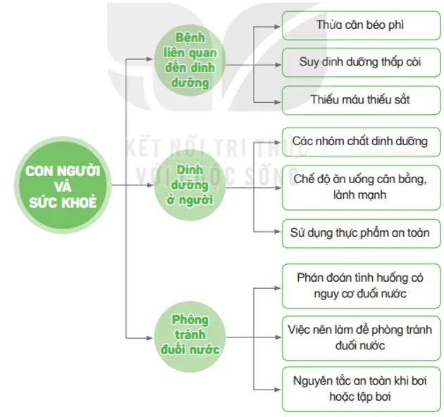 Khoa học lớp 4 Bài 28: Ôn tập chủ đề Con người và sức khỏe