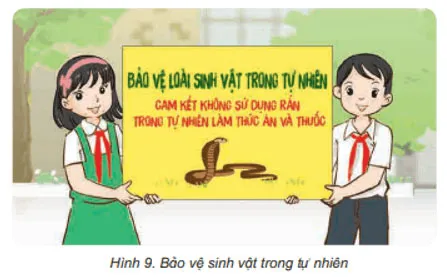 Khoa học lớp 4 Bài 30: Vai trò của thực vật trong chuỗi thức ăn