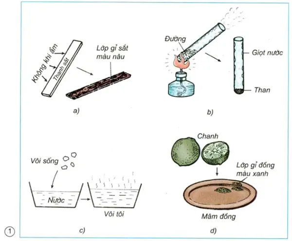 Khoa học lớp 5 Bài 49-50: Ôn tập: Vật chất và năng lượng